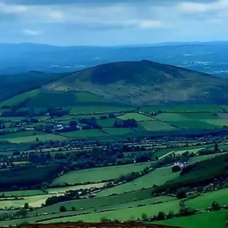 Ballyhoura Farm Escape Experience With Alpacas & Fairy Forest * Ballyorgan