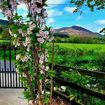 Ballyhoura Farm Escape Experience With Alpacas & Fairy Forest Δωμάτια σε οικογενειακή κατοικία *