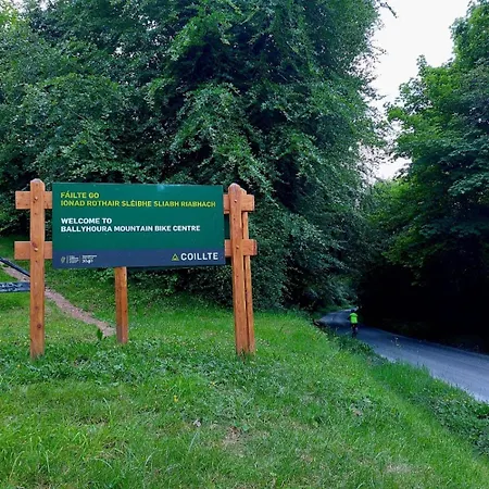 Ballyhoura Farm Escape Experience With Alpacas & Fairy Forest Ballyorgan