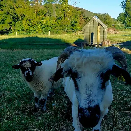 Ballyhoura Farm Escape Experience With Alpacas & Fairy Forest Δωμάτια σε οικογενειακή κατοικία *