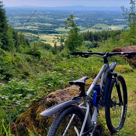 Δωμάτια σε οικογενειακή κατοικία Ballyhoura Farm Escape Experience With Alpacas & Fairy Forest Ballyorgan