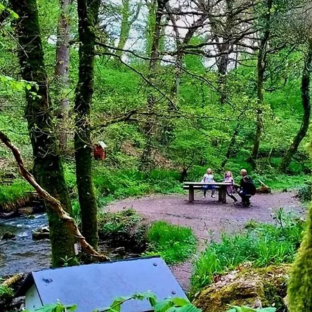 Ballyhoura Farm Escape Experience With Alpacas & Fairy Forest Ballyorgan