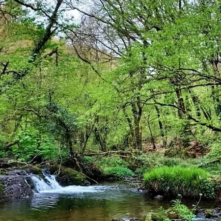 Ballyhoura Farm Escape Experience With Alpacas & Fairy Forest * Ballyorgan