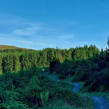 Ballyhoura Farm Escape Experience With Alpacas & Fairy Forest