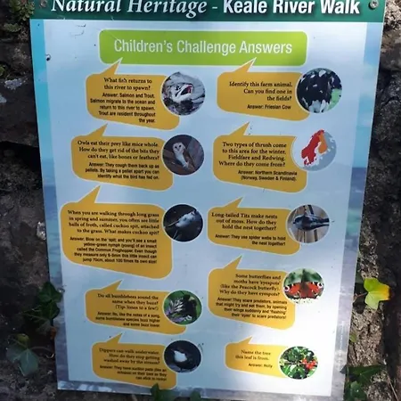 民宿 Ballyhoura Farm Escape Experience With Alpacas & Fairy Forest Ballyorgan