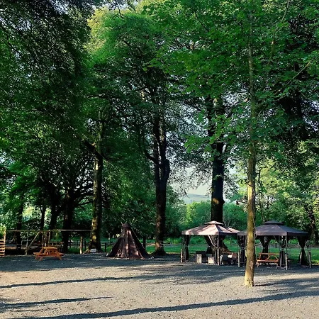 Ballyhoura Farm Escape Experience With Alpacas & Fairy Forest Alloggio in famiglia