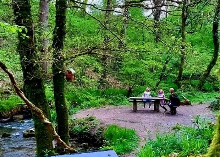 Ballyhoura Farm Escape Experience With Alpacas & Fairy Forest Ballyorgan