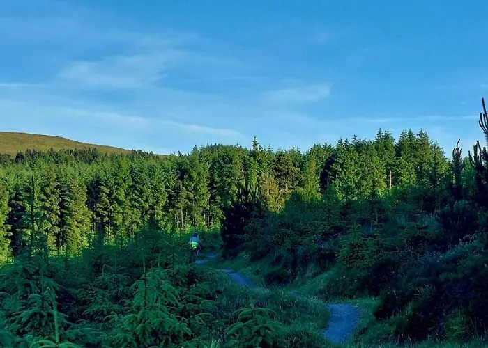 Ballyhoura Farm Escape Experience With Alpacas & Fairy Forest