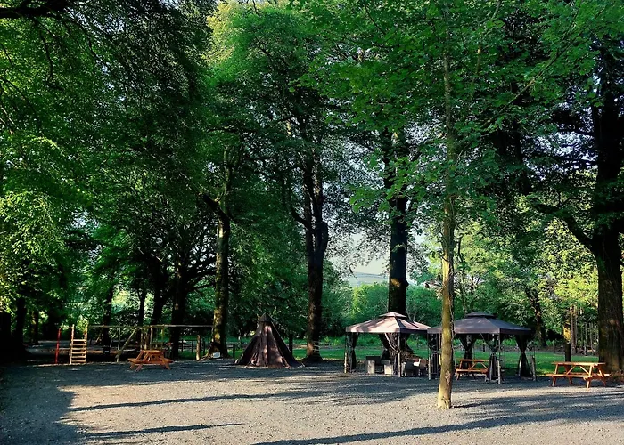 Ballyhoura Farm Escape Experience With Alpacas & Fairy Forest 홈스테이